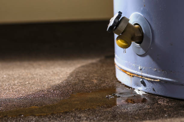Best 24/7 water damage repair  in Wheatley Heights, NY