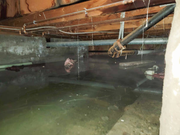 Reliable Wheatley Heights, NY Water damage restoration Solutions
