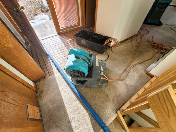Local water damage restoration in Wheatley Heights, NY