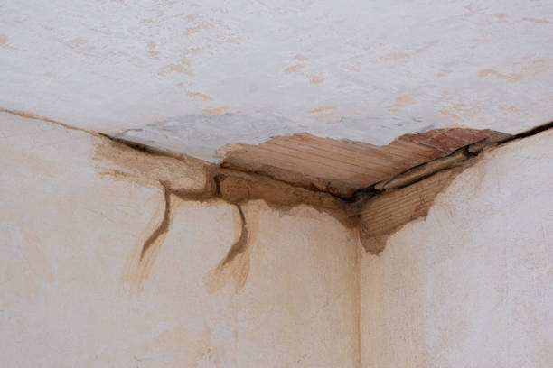 Best Water damage cleanup near me  in Wheatley Heights, NY