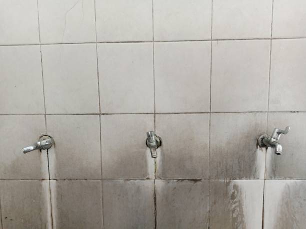 Best 24-hour water damage restoration  in Wheatley Heights, NY