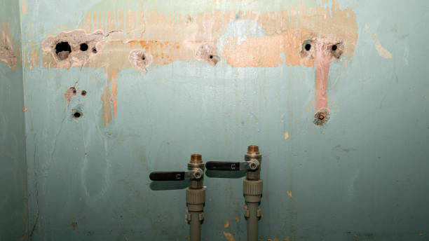 Best Water damage restoration specialists  in Wheatley Heights, NY