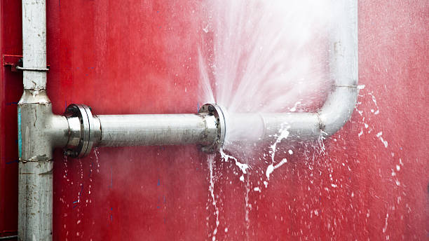  Wheatley Heights, NY Water damage restoration Pros